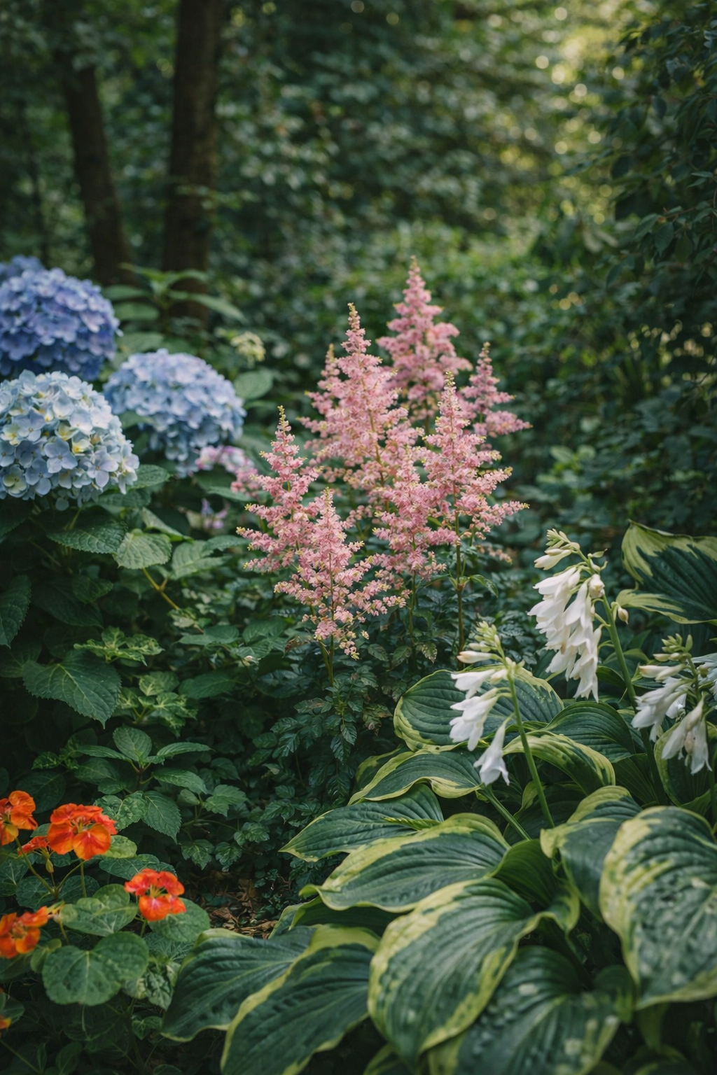 Bloemen voor in de schaduw: laat ook donkere plekken bloeien