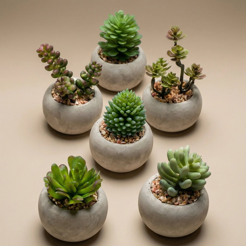 Kunst mini vetplanten in cementen pot - Succulent mix set 6, kenmerkend blad