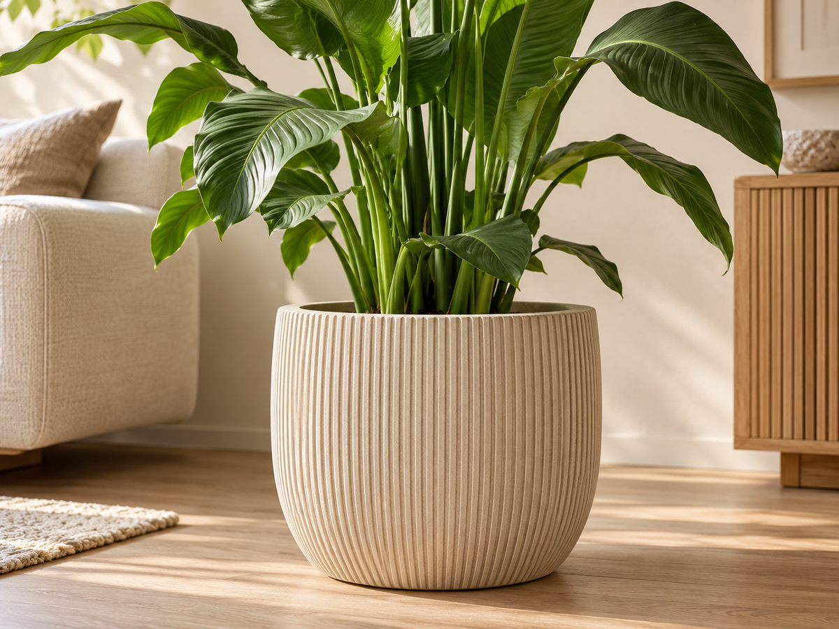 Sfeerbeeld van een beige Capi Nature Groove plantenpot met natuurlijke groefstructuur in een rustig, licht interieur