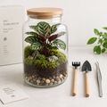 DIY terrarium - Jar Calathea - Met hark, schep en pincet