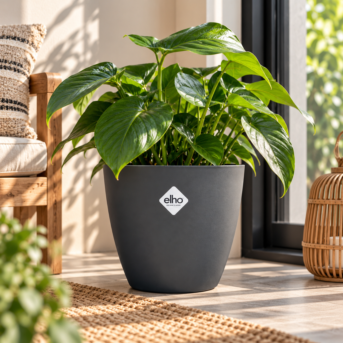 Derde sfeerbeeld van de Elho Brussels Grey 21 cm plantenpot in een lichte serre met groene kamerplant