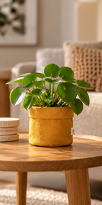 Plantbag, stoffen plantenzak