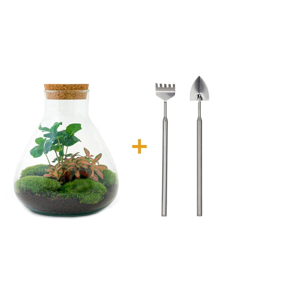 Productafbeelding van Pureplant