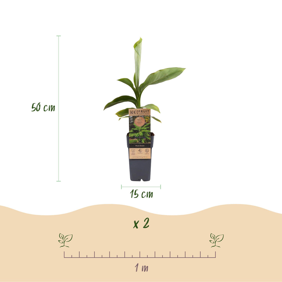 Productafbeelding van Pureplant