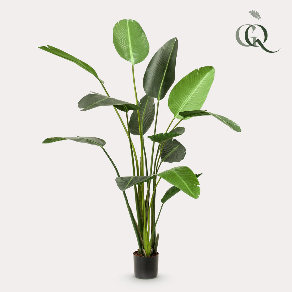 Kunstplant - Strelitzia Nicolai - Paradijsvogelbloem, plant in pot