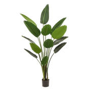 Kunstplant Strelitzia nicolai, paradijsvogelbloem, 190 cm