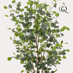 Kunstplant Eucalyptus, blauwe gomboom met ovaal blad, 140 cm, groeiwijze van de plant