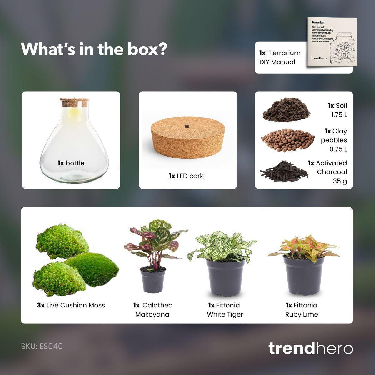 Detailfoto van DIY terrarium Sam XL Red met licht, zonder gereedschap