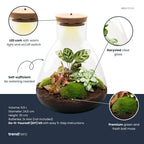 Productafbeelding van Pureplant