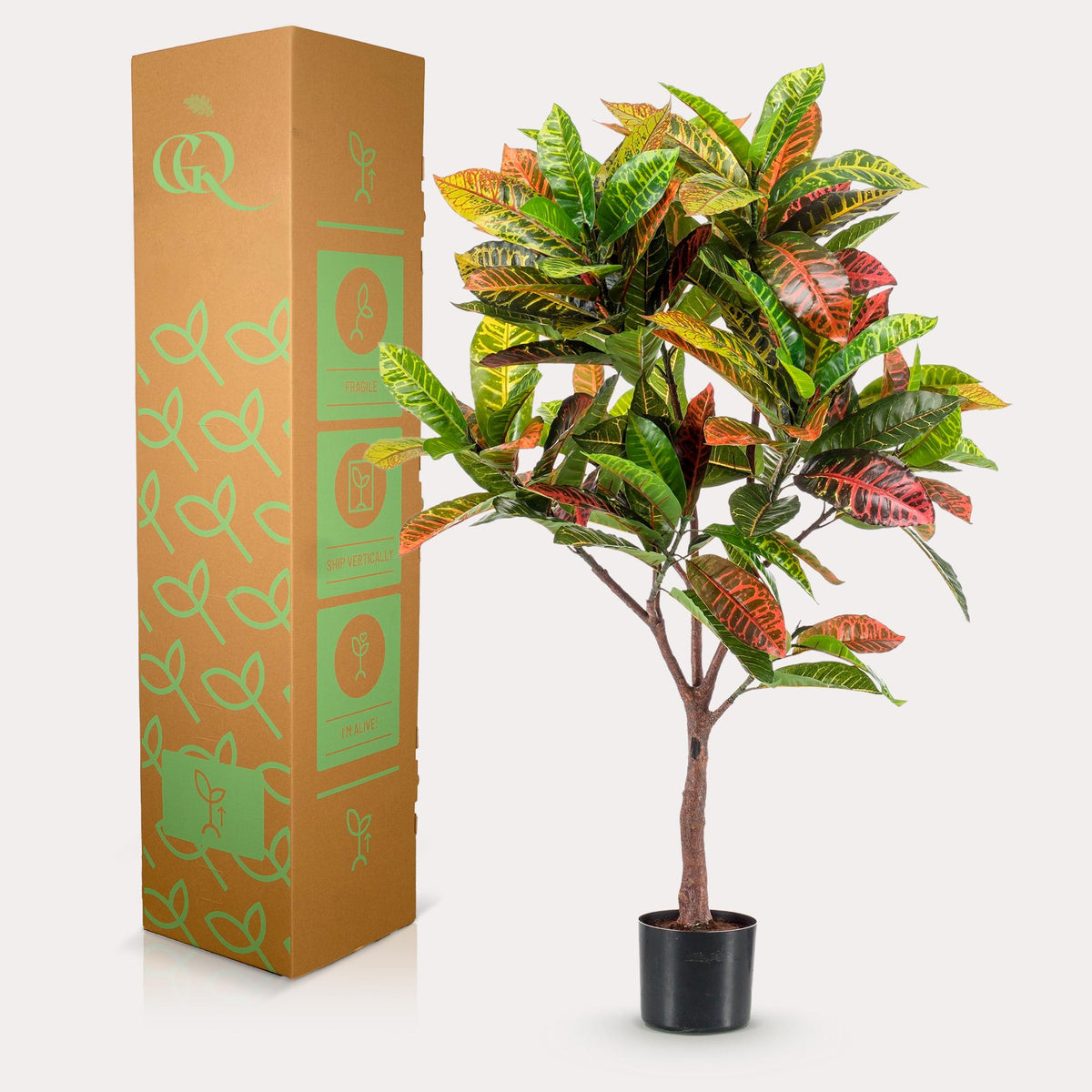 Productafbeelding van Pureplant