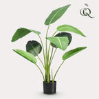 kunstplant - Strelitzia nicolai - Paradijsvogelbloem, plant in pot