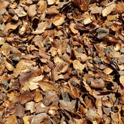 Cacaodoppen 70 liter, organische bodembedekker