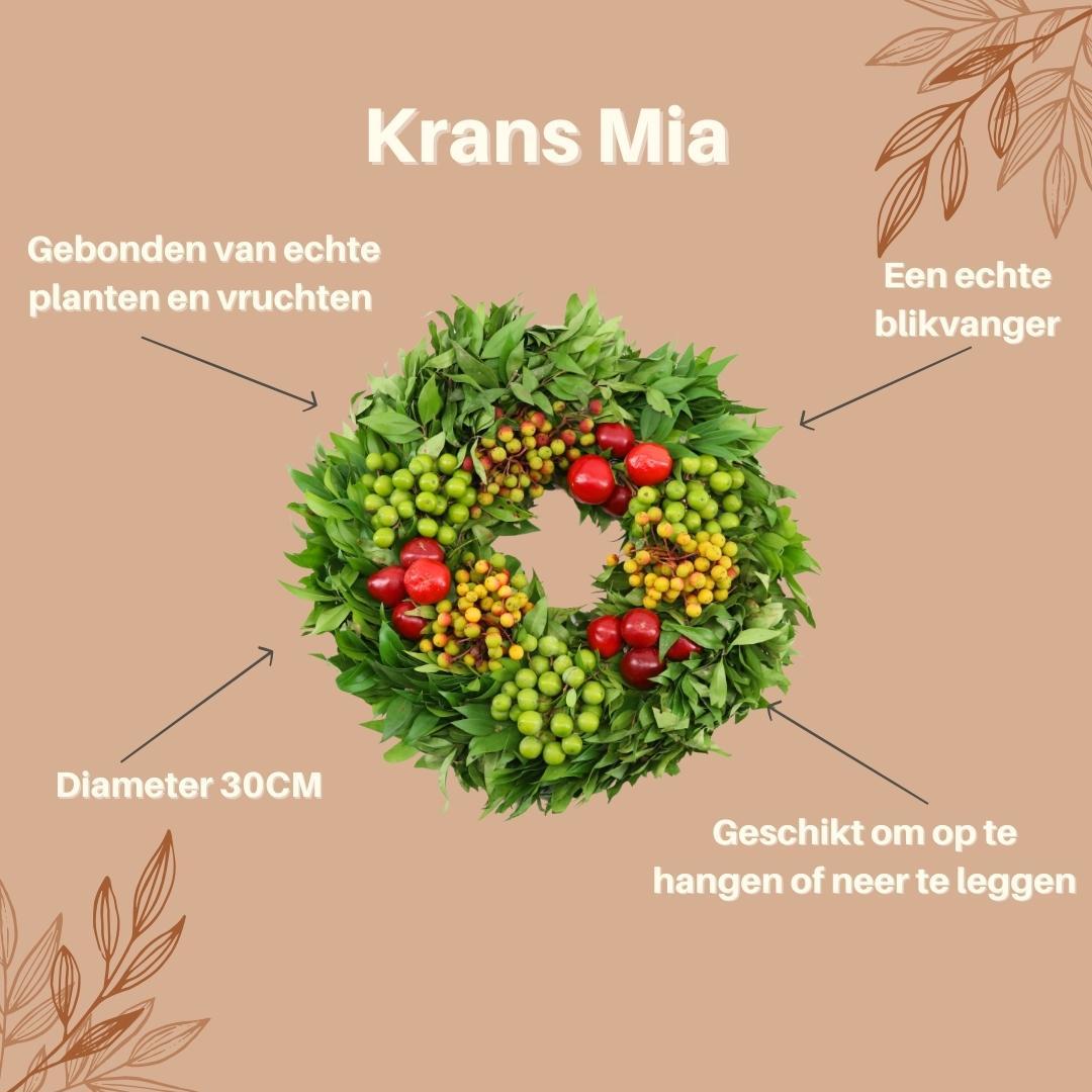 Echte krans Mia | Ø diameter, groeiwijze van de plant