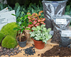 Productafbeelding van Pureplant