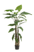Kunstplant Alocasia, olifantsoor met pijlvormig blad, 180 cm, detail van het blad