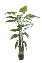 Kunstplant Alocasia, olifantsoor met pijlvormig blad, 180 cm, detail van het blad
