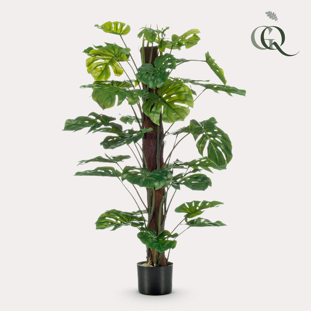 Productafbeelding van Pureplant