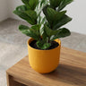 Pot Elho Jazz Round Amber Yellow - D19