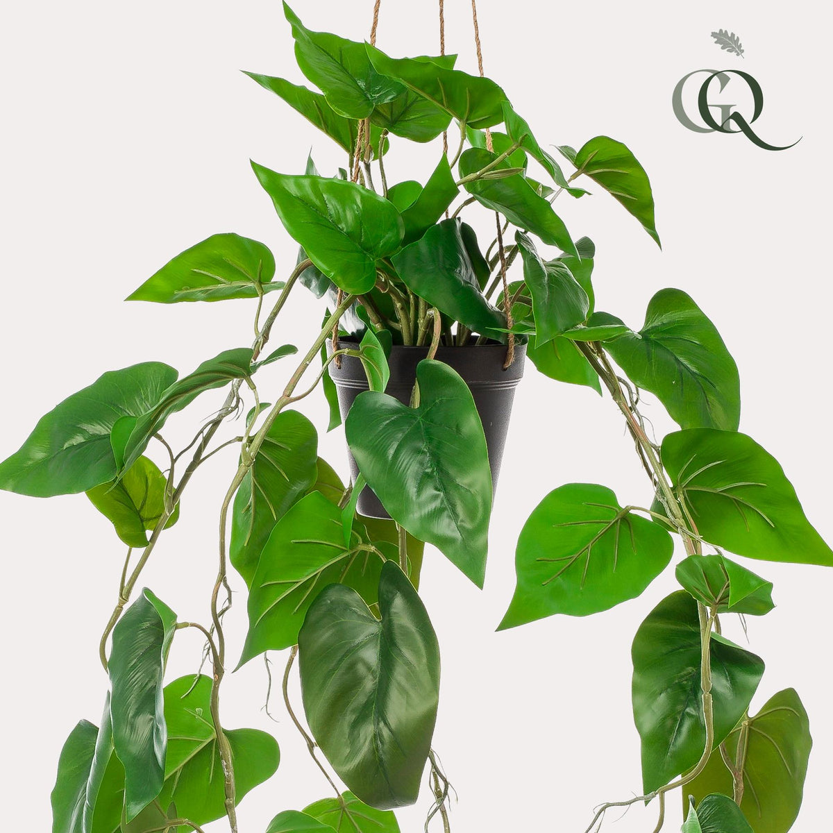 Productafbeelding van Pureplant