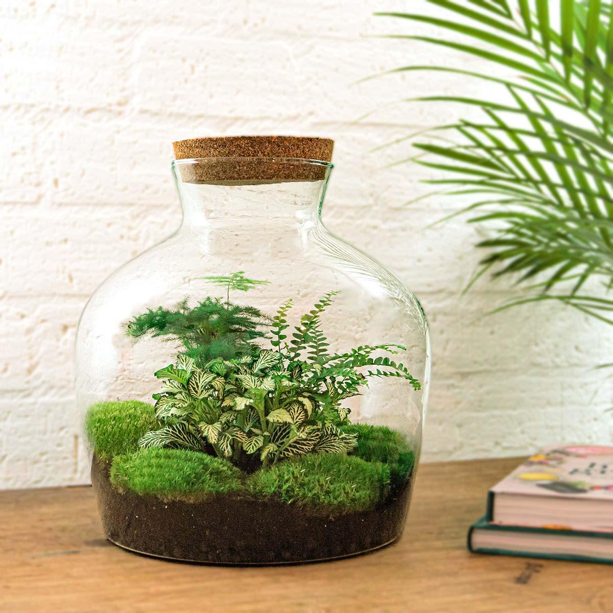 Productafbeelding van Pureplant