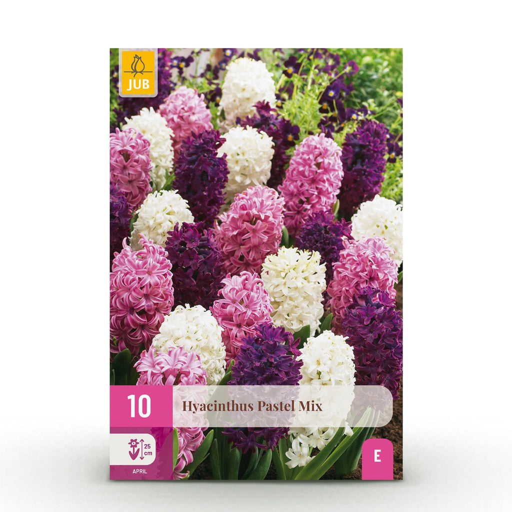 Hyacinth Pastel mix, detail van het blad