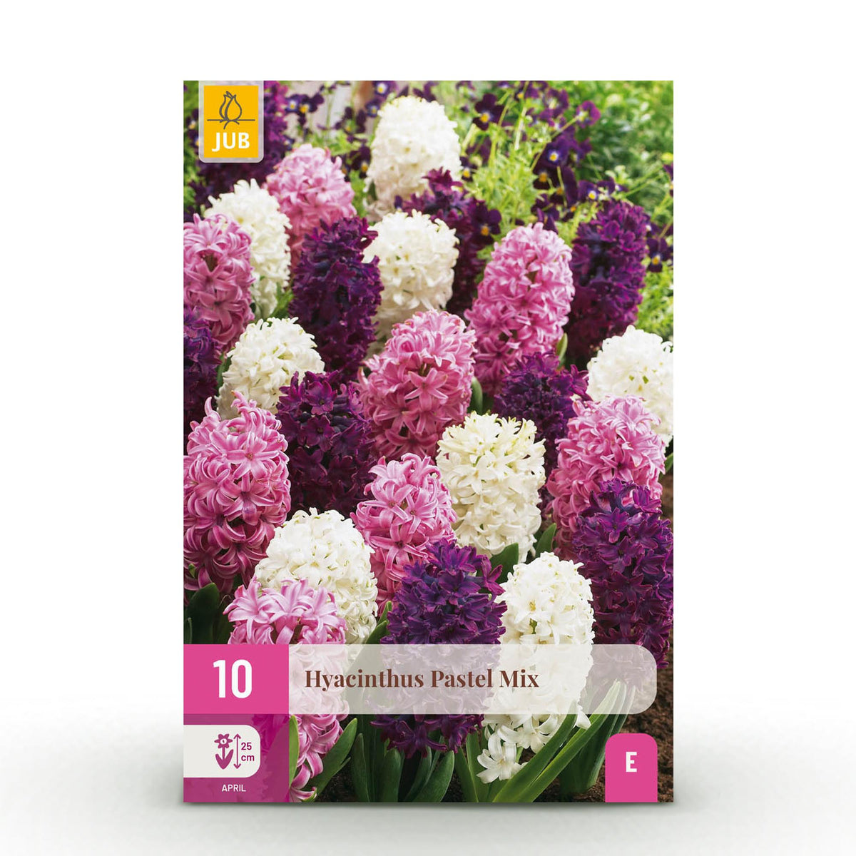 Hyacinth Pastel mix, detail van het blad