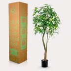 Productafbeelding van Pureplant