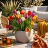 Tulp Triumph mix