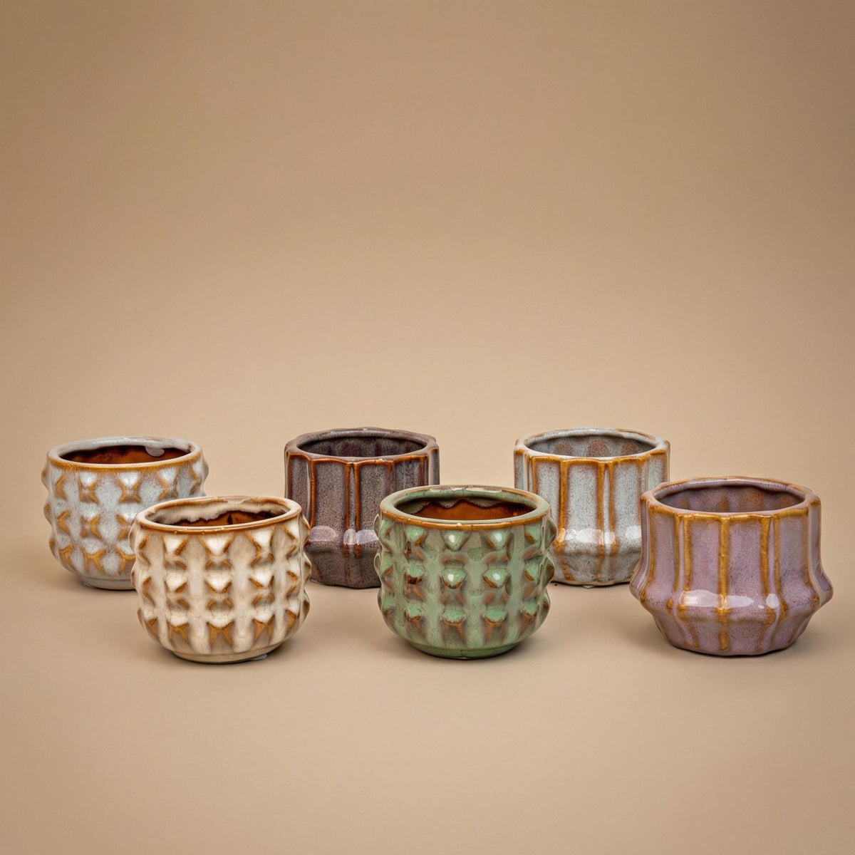 Plant set van 6 met pot set San Juan - Cactus mix - Ø, groene bladeren