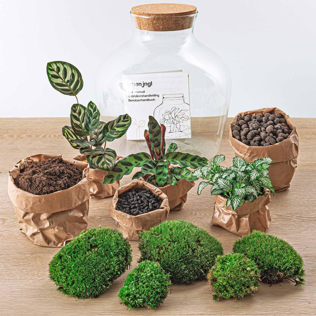 Detailfoto van DIY terrarium Fat Joe met licht, hark, schep, pincet