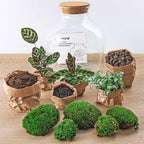 Detailfoto van DIY terrarium Fat Joe met licht, hark, schep, pincet