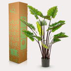 Productafbeelding van Pureplant