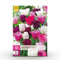 Tulp Pastel mix, kenmerkend blad