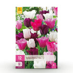 Tulp Pastel mix, kenmerkend blad