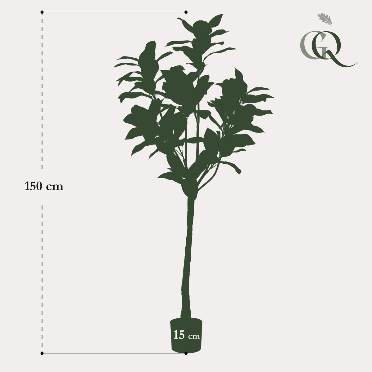 Kunstplant - Magnolia Grandiflora, groeiwijze van de plant
