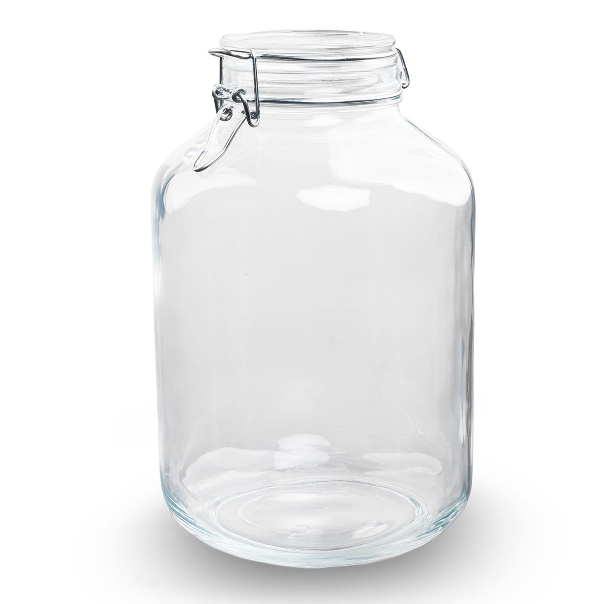 Weckpot Terrarium Jar, plant in pot