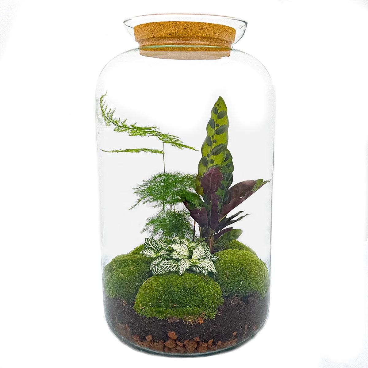 Productafbeelding van Pureplant
