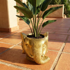 Planter Olifant D11/12x10cm - Goud - D11/12x10cm, groeiwijze van de plant
