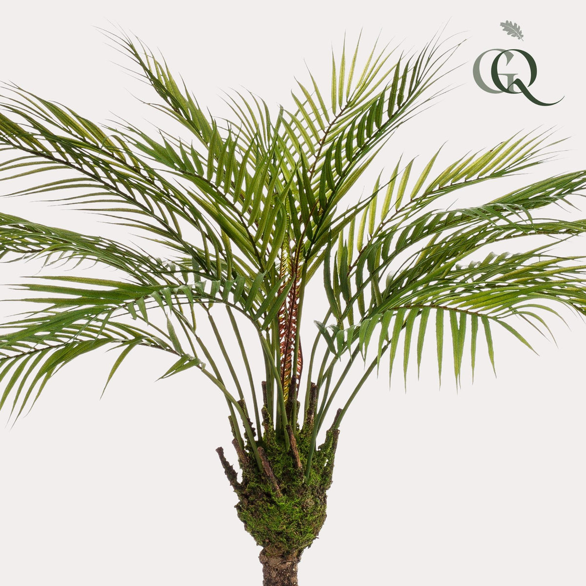 Kunstplant Chamaedorea, bergpalm met veerachtig blad, 85 cm, kenmerkend blad