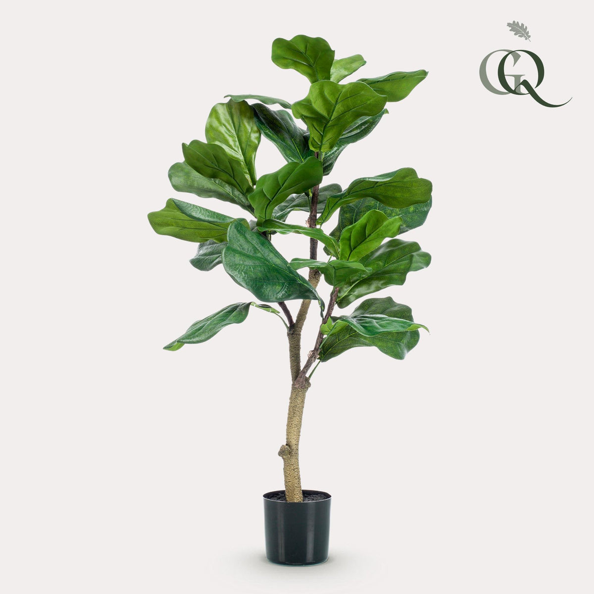 Productafbeelding van Pureplant