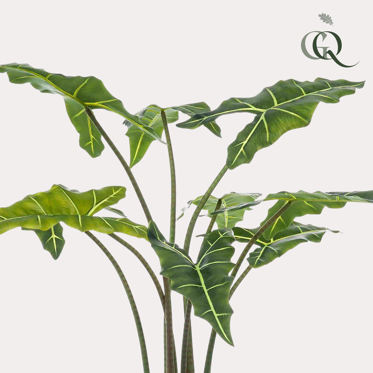Kunstplant Alocasia 'Frydek', fluweelachtig blad, 120 cm, groene bladeren
