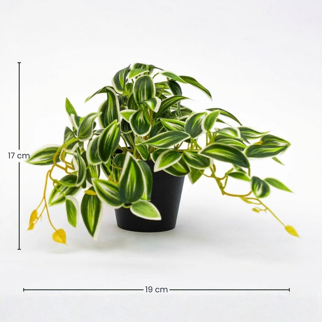Kunstplant Tradescantia groen/wit, detail van het blad