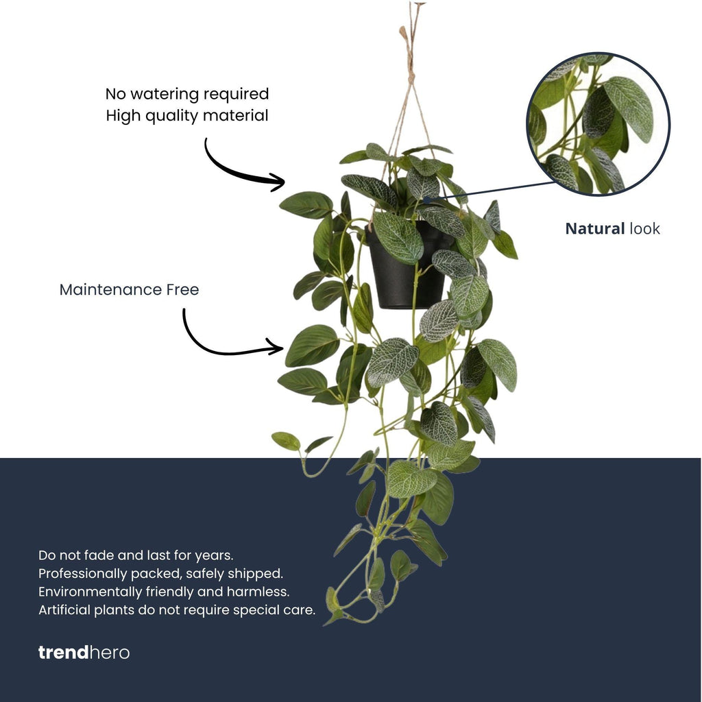 Fittonia - hangplant in pot, detail van het blad