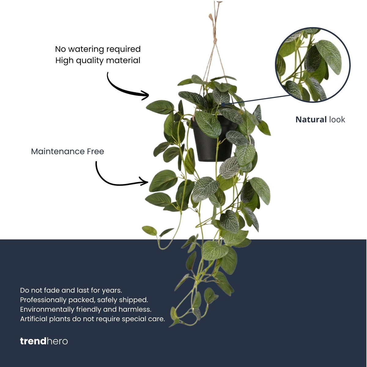 Fittonia - hangplant in pot, detail van het blad
