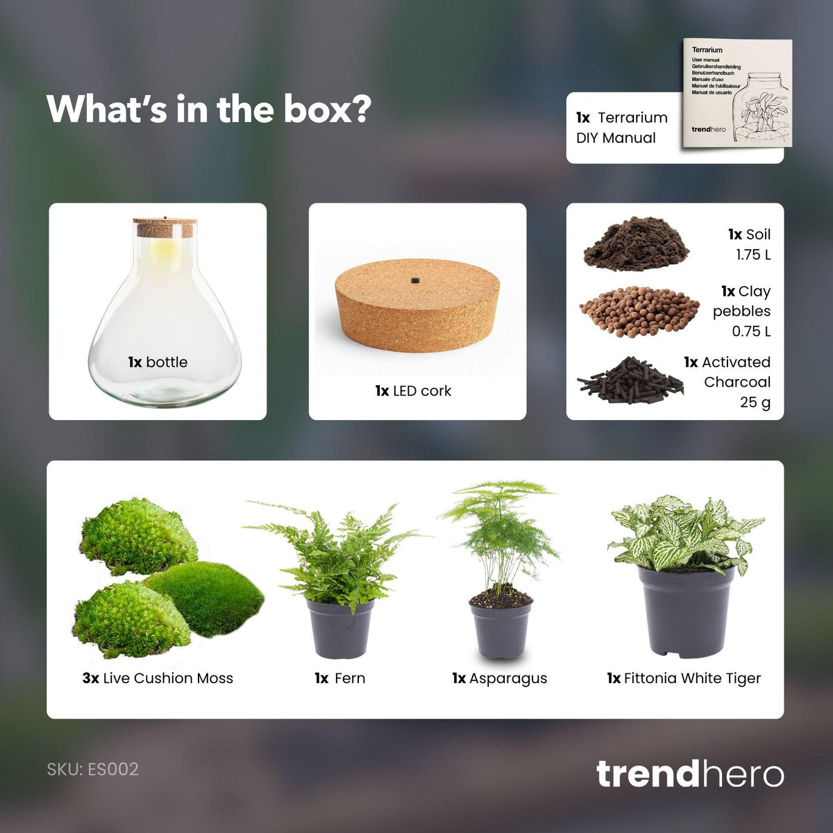 Detailfoto van DIY terrarium Sam XL Green met licht, zonder gereedschap
