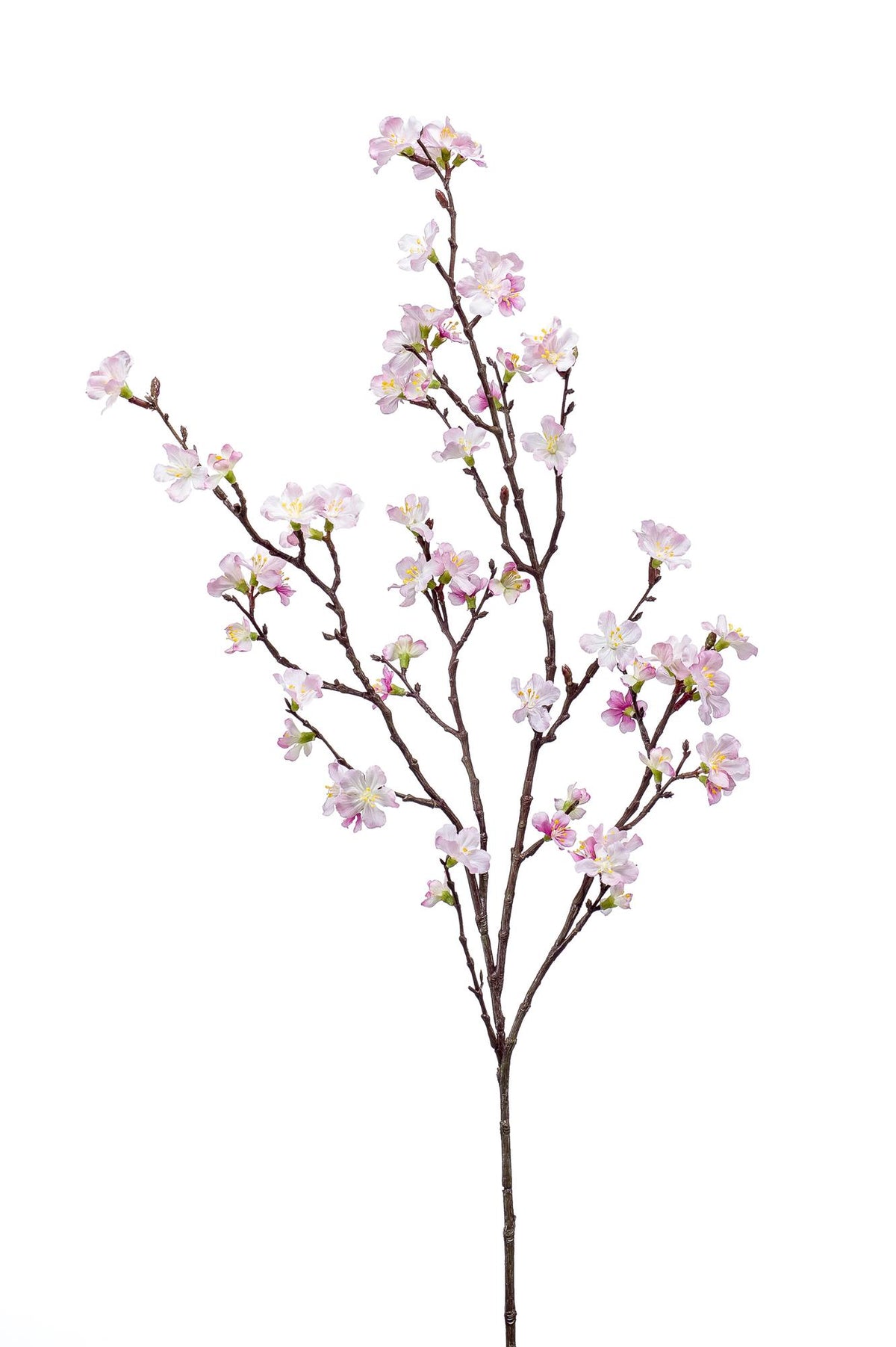 Kunstbloemen Solo - Pink - Japanese Cherry Blossom - x 4, gezonde plant