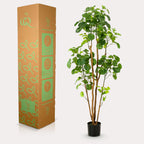 Productafbeelding van Pureplant