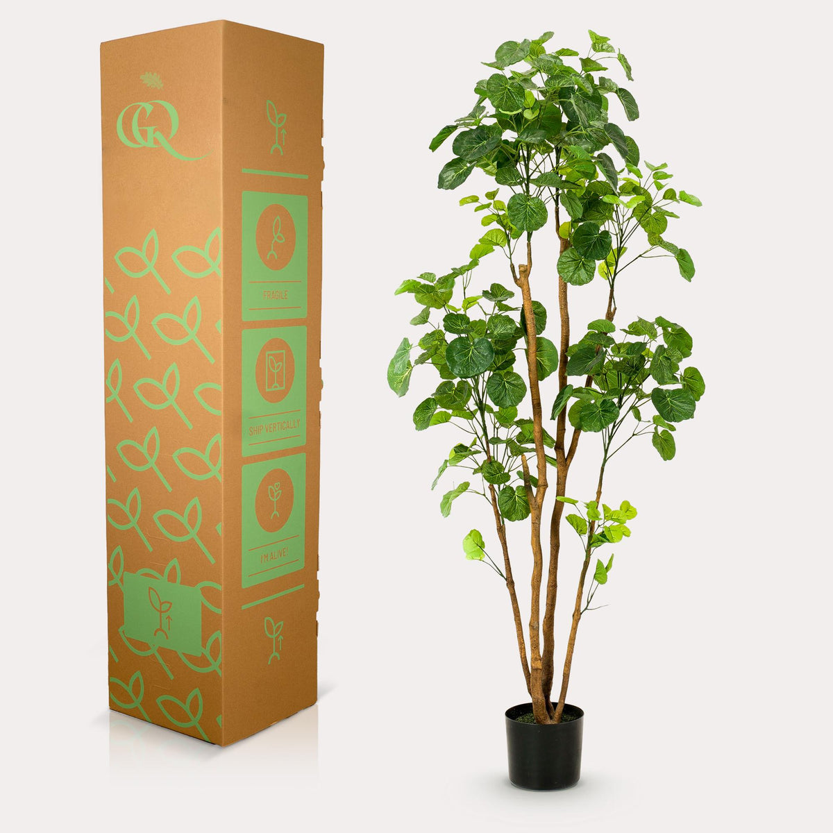 Productafbeelding van Pureplant