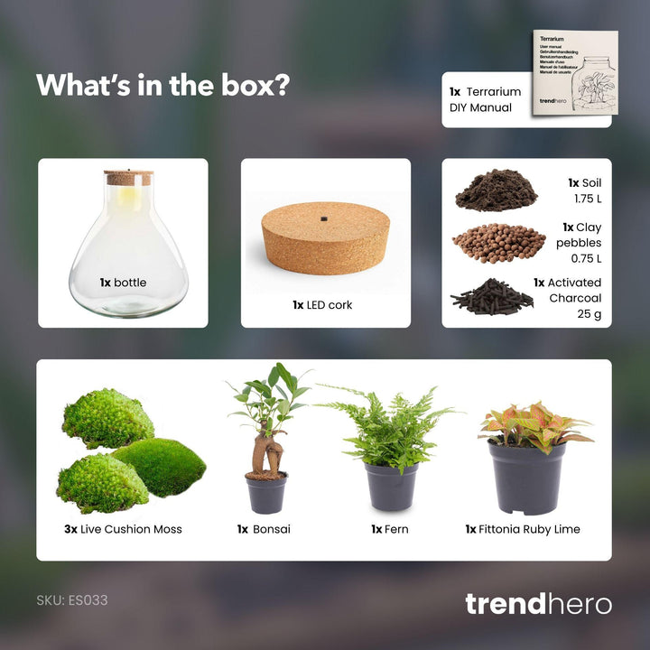 DIY planten terrarium met licht - Sam XL Bonsai