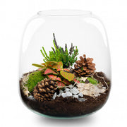 Tinsel kerstterrarium, planten terrarium DIY kit